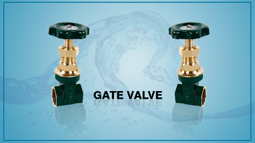 Gate Valve