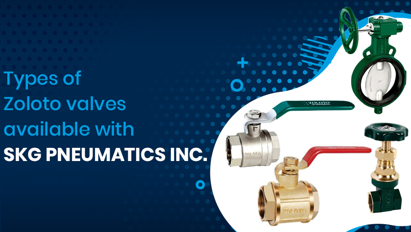 Zoloto Valve Dealers in Delhi