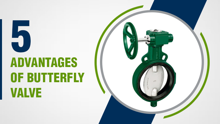 5 Advantages Of Butterfly Valve